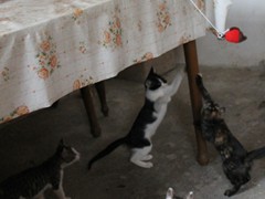 Giochi fai da te