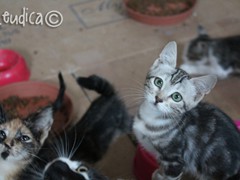 In attesa di una casa...