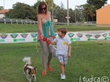 #10: un altro bel meticcio con suo fratellino