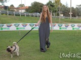 #11: Un carlino/bulldog mix che ama le bionde!