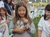 #26: il concorrente piu' giovane: cucciolo di chihuahua