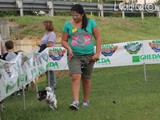 #6: vispo Jack Russell