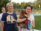 Decimo premio: il cane piu' dolce