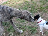 Grandi e piccoli...
