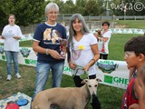 Quinto premio: il cane piu' ubbediente
