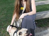 Il carlino/bulldog che ama le bionde...
