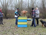 Alberto, il nostro educatore, comincia il Dog Mobility