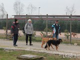 Black e Nando a passeggio: tutti e due i nostri  "nipotini"