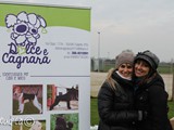 Le amiche di Cucciolissimi e Dolce & Cagnara
