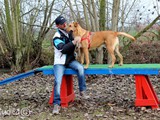 Nando, un nostro nipotino, in posa