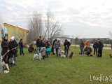 I nostri amici