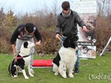 I nostri due volontari Tommaso e Riccardo con Spike e Stone