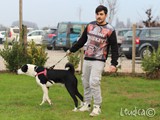 Nostro volontario Tommaso con il possente Spike.