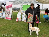 Winny, che dici del calendario?