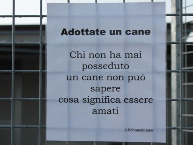 Parole sagge