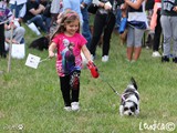 Bimba stilosa con shihtzu