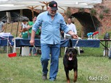 Tyson in pista!