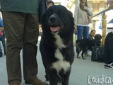 Pronto per la sfida