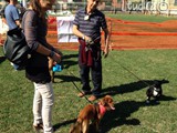 Prima di entrare "in scena"
