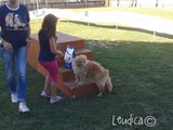 Il cane piu' anziano: 3 premio