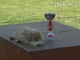 Il cucciolo: solo 2 mesi!