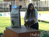 Vvincitore del premio "Il cane piu' simpatico"