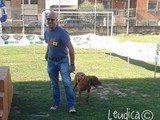 Nostro Tiger nel ring