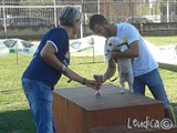 Vincitore del premio "il cane piu' ubbediente"