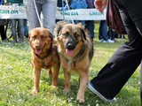 Asia e Pepita, sempre insieme