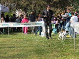 Pato con Matteo