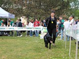 Bolt con Marianna