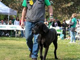 Rocco con Nicola