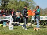 Pepe il chihuahua con Daniele
