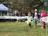 Pippo con Sofia
