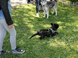 Cesare fa stretching prima della gara