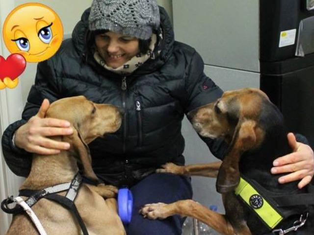 Bisquitte con Pallina e la nuova mamma