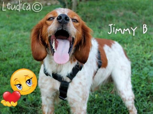 Jimmy B!