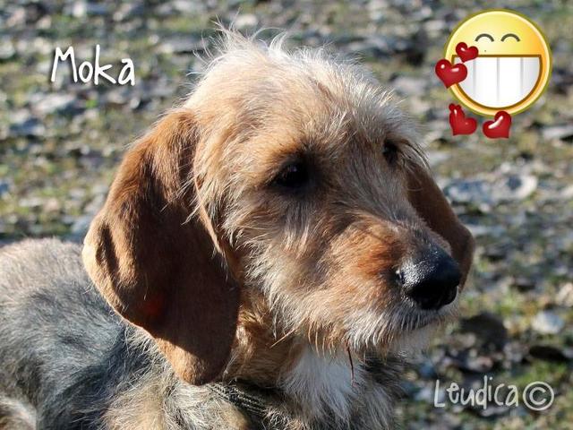Moka