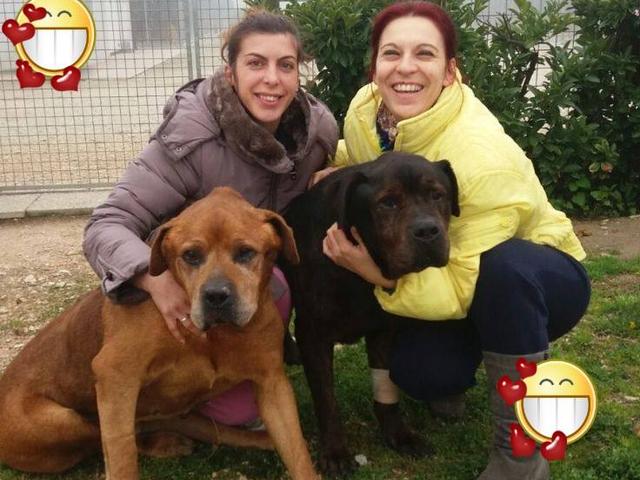 Tyson e Arnold con la nostra Irene