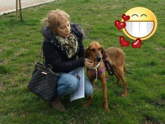 Il bellissimo Prince