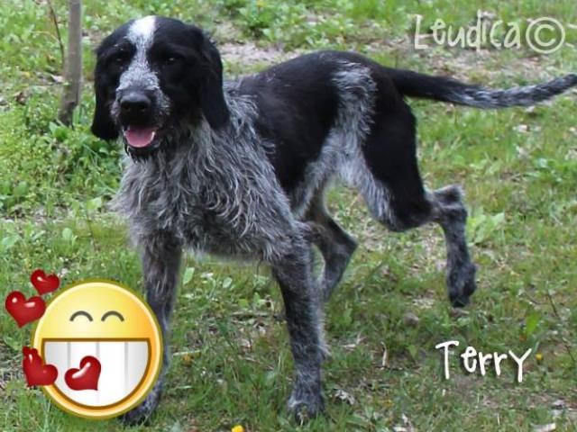 Buona vita, Terry!
