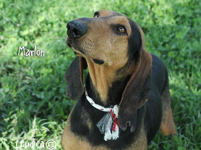 Buona vita, Marlon!