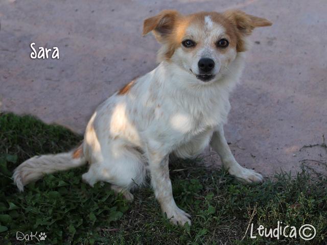 Buona vita, Sara ora Frida!