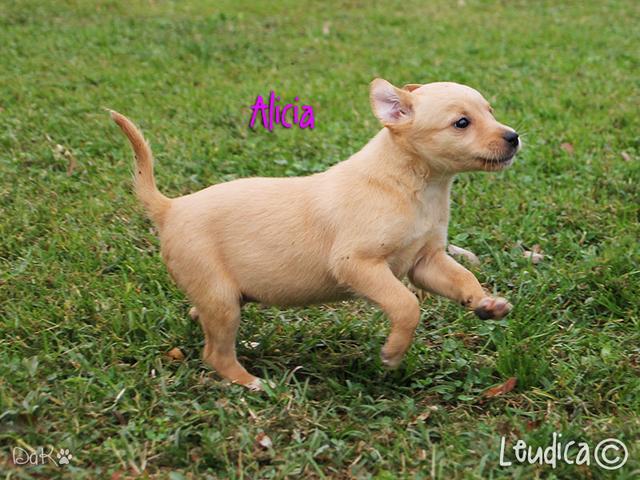 Alicia, buona vita!