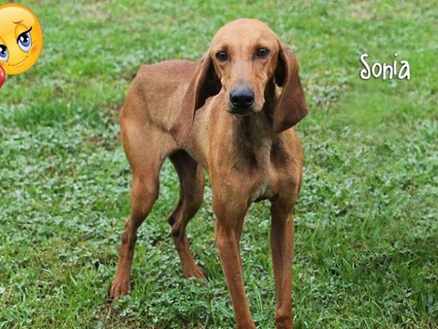Sonia ha trovato casa!