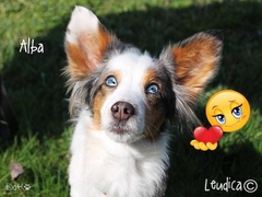 Alba ha trovato casa!
