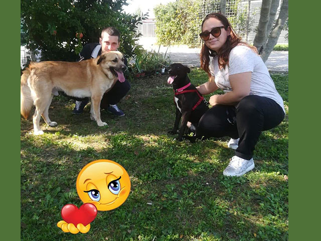 Alf e Ayra, insieme a casa!