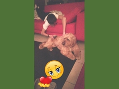 Anteo a casa