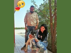 Baxter con la sua nuova famiglia