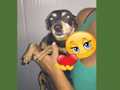 Chany ha trovato casa